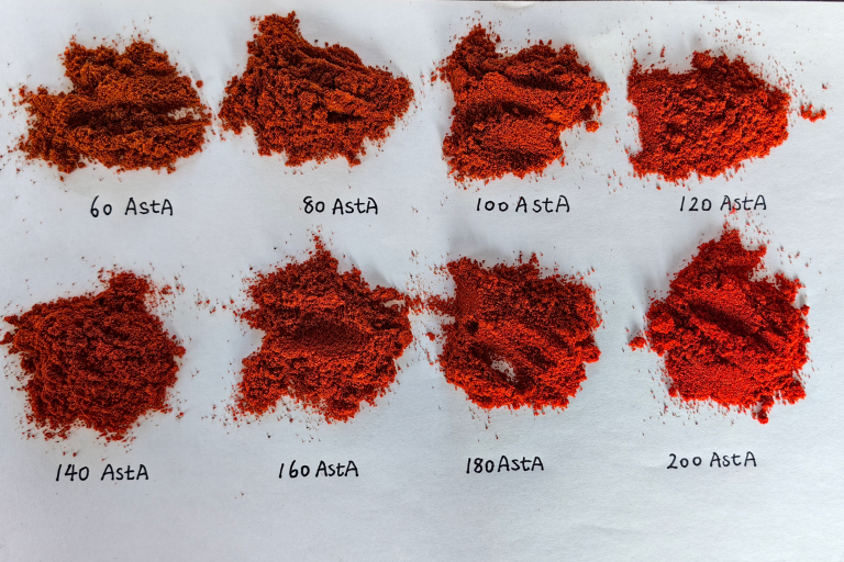 paprika powder ASTA