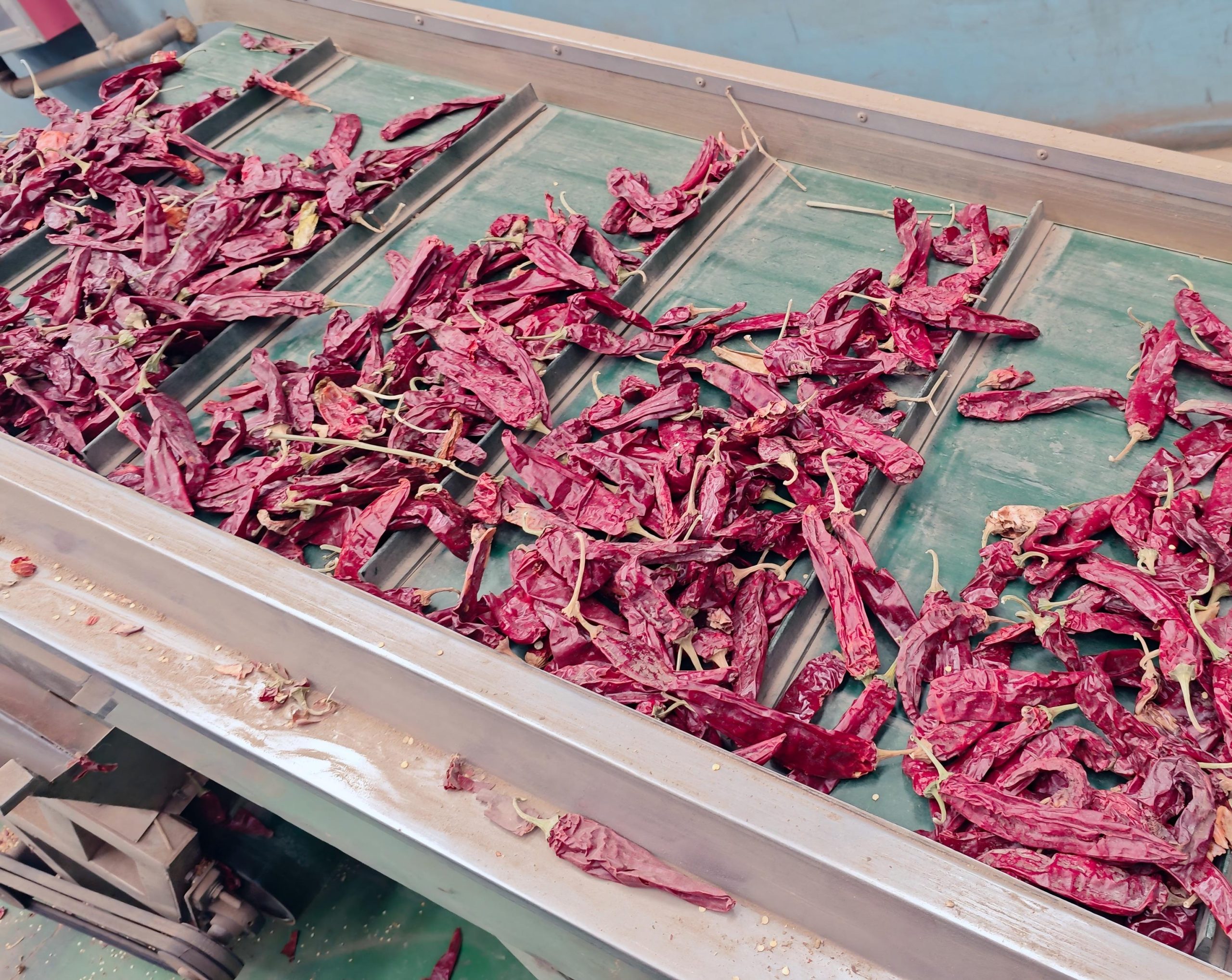 Paprika Moisture Standards for Food Manufacturing