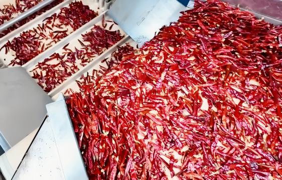 BRCGS-certified paprika powder processing facility demonstrating moisture and ASTA color standardization.