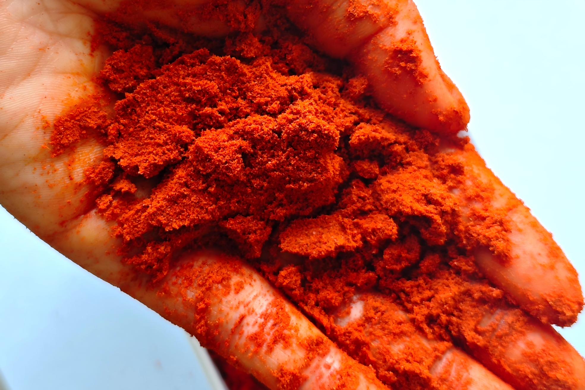 ASTA 100 Paprika Powder Bulk Supplier from China - Image 2